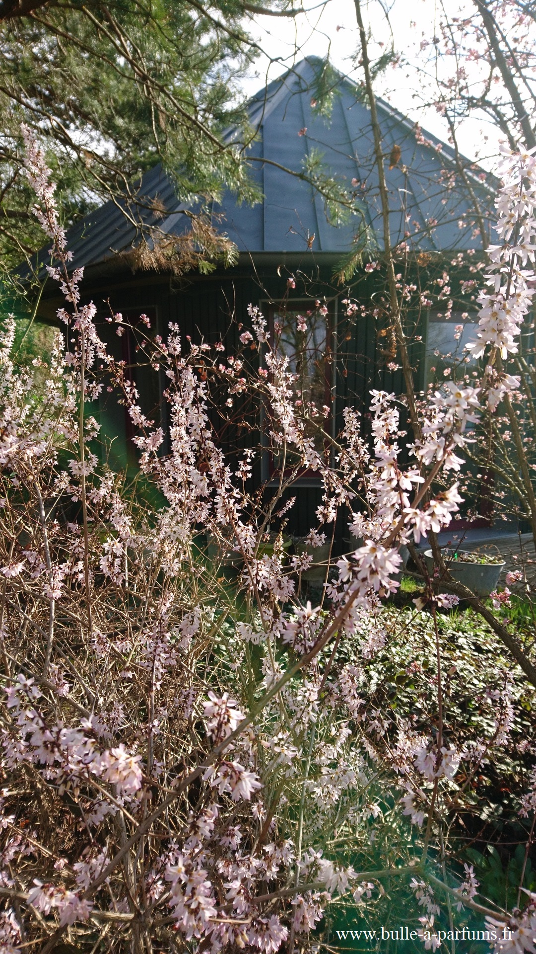 visitez un jardin en hiver - Jura