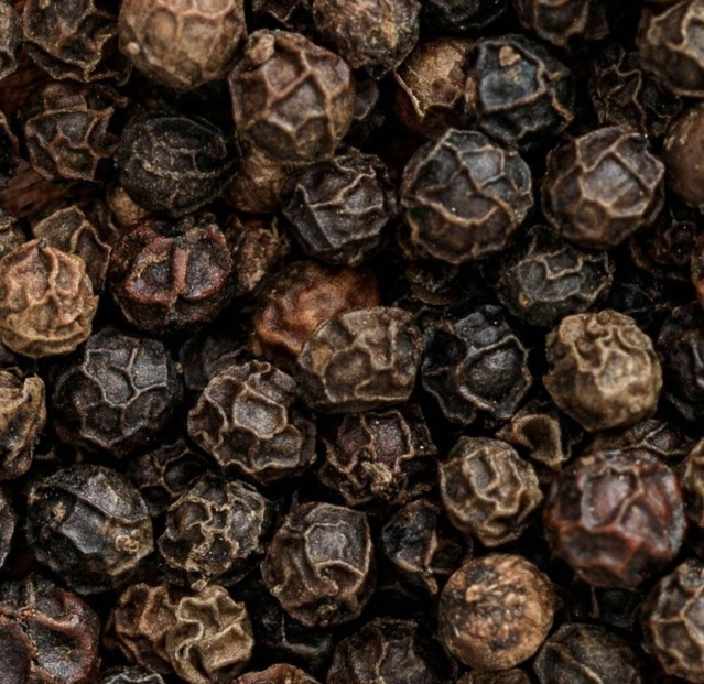 Plantes à parfums POIVRE NOIR