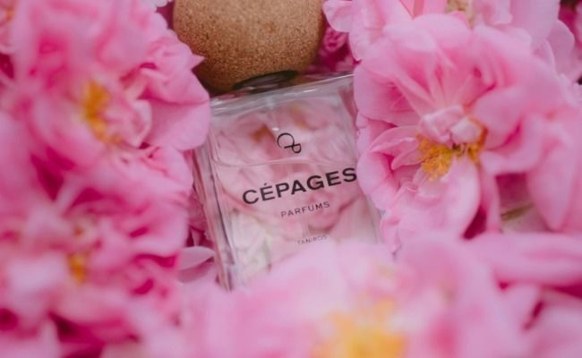 Cépages Parfums : L'ivresse des sens sans l'alcool (ou presque)