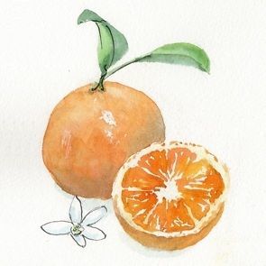 orange 