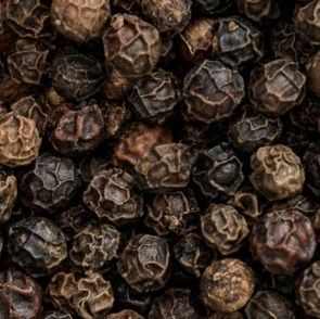 Plantes à parfums POIVRE NOIR